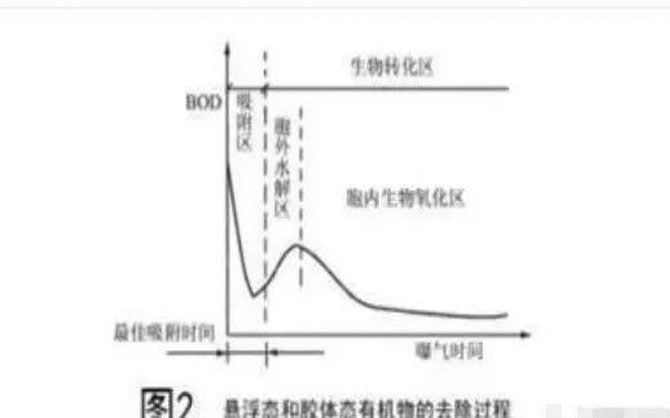 未标题-22.jpg