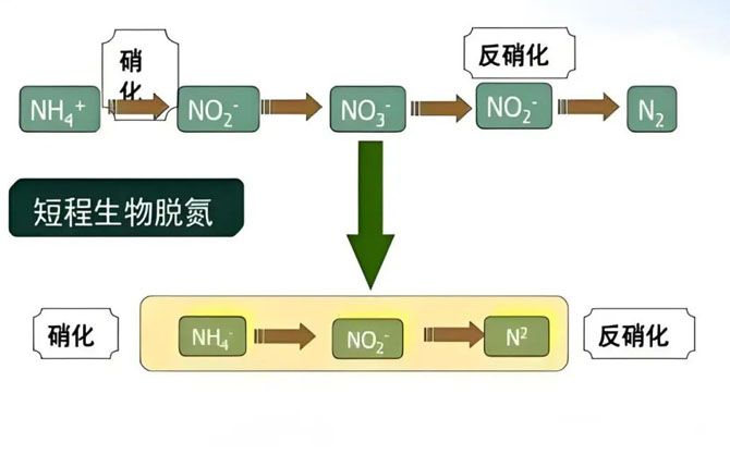 未标题-111.jpg